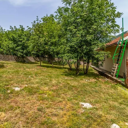 Pet Friendly In With Sauna